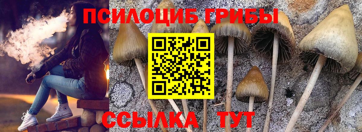 Псилоцибиновые грибы MAGIC MUSHROOMS  Галлюциногенные грибы GOLDEN TEACHER  Вход с VPN  Гусев 